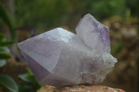 Natural Jacaranda Amethyst Clusters  x 2 From Mumbwa, Zambia - Toprock Gemstones and Minerals 