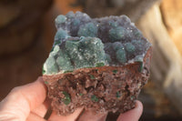 Natural Drusy Coated Ball Malachite On Dolomite Specimens  x 2 From Likasi, Congo