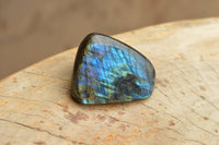 Polished Labradorite Standing Free Forms With Intense Blue & Gold Flash x 12 From Tulear, Madagascar - TopRock