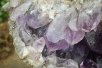 Natural Jacaranda Amethyst Cluster x 1 From Mumbwa, Zambia