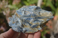 Natural Blue Kyanite Matrix Specimens  x 5 From Zimbabwe