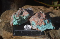 Natural Drusy Coated Chrysocolla On Dolomite Specimens x 4 From Congo