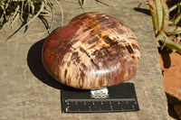 Polished Large Petrified Red Podocarpus Wood Hearts  x 2 From Mahajanga, Madagascar - TopRock