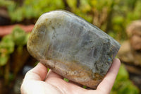 Polished  Labradorite Standing Free Forms With Purple & Gold Flash  x 2 From Tulear, Madagascar - TopRock