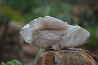 Natural Cascading White Phantom Quartz Clusters  x 6 From Luena, Congo - Toprock Gemstones and Minerals 