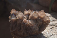 Natural Smokey Phantom Quartz Clusters x 2 From Luena, Congo