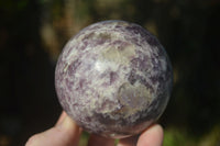 Polished Purple Lepidolite Spheres With Pink Rubellite On Some  x 4 From Madagascar - Toprock Gemstones and Minerals 