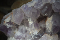 Natural Extra Large Jacaranda Amethyst Cluster  x 1 From Zambia - Toprock Gemstones and Minerals 