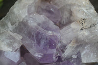 Natural Jacaranda Amethyst Cluster x 1 From Mumbwa, Zambia - TopRock