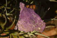 Natural Metallic Purpurite Cobbed Specimens  x 24 From Erongo, Namibia - Toprock Gemstones and Minerals 