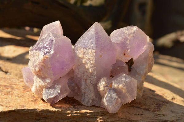 Natural Jacaranda Amethyst Clusters x 2 From Mumbwa, Zambia - TopRock