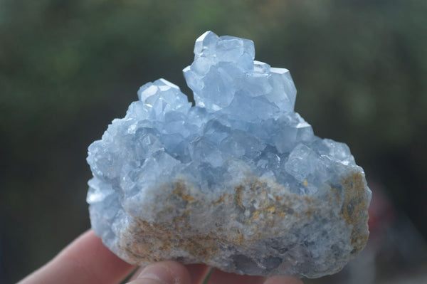 Natural Blue Celestite Crystal Specimens  x 3 From Sakoany, Madagascar - Toprock Gemstones and Minerals 