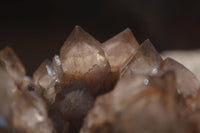 Natural Smokey Phantom Quartz Clusters x 2 From Luena, Congo