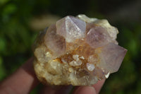 Natural Spirit Amethyst Cactus Quartz Clusters x 12 From Boekenhouthoek, South Africa