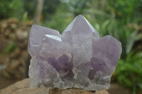 Natural Jacaranda Amethyst Clusters  x 2 From Mumbwa, Zambia - Toprock Gemstones and Minerals 