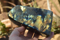 Polished Labradorite Standing Free Forms With Intense Blue & Gold Flash x 2 From Sakoany, Madagascar - TopRock