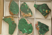 Natural Crystalline Malachite Specimens  x 6 From Tenke Fungurume, Congo - TopRock