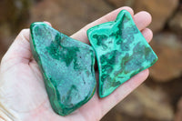 Polished Malachite Free Forms With Stunning Flower & Banding Patterns x 5 From Congo - TopRock