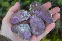 Natural Metallic Purpurite Cobbed Specimens  x 24 From Erongo, Namibia - Toprock Gemstones and Minerals 