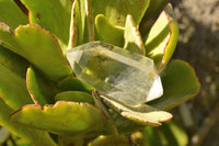 Polished Double Terminated Semi Optic Quartz Crystals  x 12 From Madagascar - TopRock