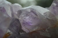 Natural Large Jacaranda Amethyst Cluster  x 1 From Mumbwa, Zambia - Toprock Gemstones and Minerals 