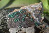 Natural Rare Ball Malachite On Drusy Quartz & Dolomite Matrix  x 2 From Kambove, Congo