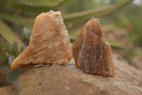 Natural Honey Aragonite Etched & Cobbed Pieces  x 12 From Namibia