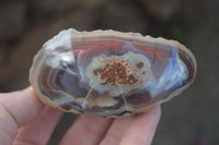 Polished Red River Agate Nodules  x 4 From Zimbabwe - TopRock