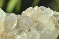 Natural Zambian Quartz Clusters x 6 From Serenje, Zambia - TopRock