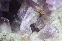 Natural Jacaranda Amethyst Cluster x 1 From Mumbwa, Zambia