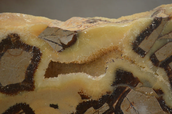 Polished Septaria (Calcite & Aragonite) Slices  x 6 From Madagascar - TopRock