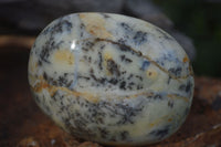 Polished Stunning Dendritic Opal Palm Stones  x 12 From Madagascar - Toprock Gemstones and Minerals 