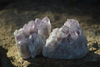 Natural Sugar Amethyst Clusters  x 6 From Solwezi, Zambia - Toprock Gemstones and Minerals 