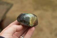 Polished Labradorite Standing Free Forms With Intense Blue & Gold Flash x 12 From Tulear, Madagascar - TopRock