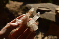 Natural Small Mixed Quartz Clusters  x 5 From Madagascar - TopRock