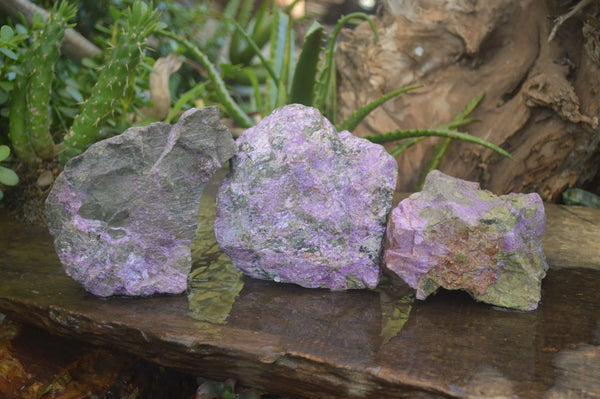 Natural Rough Stichtite & Serpentine Specimens  x 3 From Barberton, South Africa - Toprock Gemstones and Minerals 