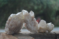 Natural Cascading White Phantom Quartz Clusters  x 6 From Luena, Congo - Toprock Gemstones and Minerals 