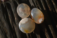 Polished Mini Ocean  Flower Agate Palm Stones  x 140 From Madagascar