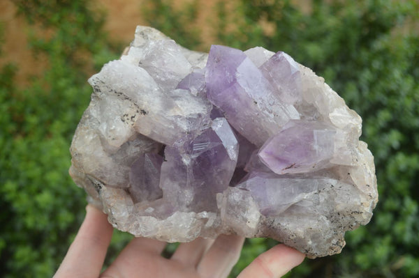 Natural Jacaranda Amethyst Cluster x 1 From Mumbwa, Zambia - TopRock