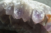 Natural Extra Large Jacaranda Amethyst Cluster  x 1 From Zambia - Toprock Gemstones and Minerals 