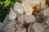 Natural Giant Cascading Smokey Quartz Cluster x 1 From Luena, Congo