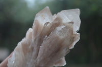 Natural Cascading White Phantom Quartz Clusters  x 6 From Luena, Congo - Toprock Gemstones and Minerals 