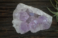 Natural Jacaranda Amethyst Clusters  x 3 From Mumbwa, Zambia - Toprock Gemstones and Minerals 