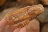 Natural Honey Aragonite Etched & Cobbed Pieces  x 12 From Namibia