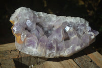 Natural Extra Large Jacaranda Amethyst Cluster  x 1 From Zambia - Toprock Gemstones and Minerals 