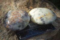 Polished Stunning Dendritic Opal Palm Stones  x 12 From Madagascar - Toprock Gemstones and Minerals 