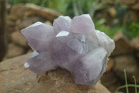 Natural Jacaranda Amethyst Clusters  x 2 From Mumbwa, Zambia - Toprock Gemstones and Minerals 