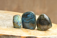 Polished Labradorite Standing Free Forms With Intense Blue & Gold Flash x 12 From Tulear, Madagascar - TopRock