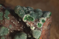 Natural Drusy Coated Ball Malachite On Dolomite Specimens  x 2 From Likasi, Congo