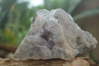 Natural Jacaranda Amethyst Cluster x 1 From Mumbwa, Zambia - TopRock